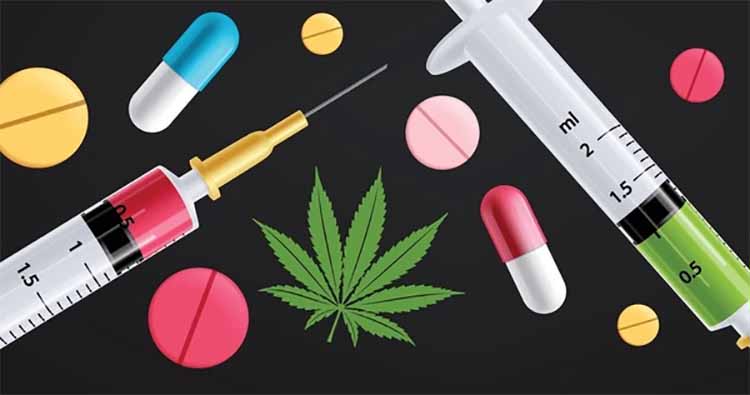 如何查詢藥物成分是否合規
