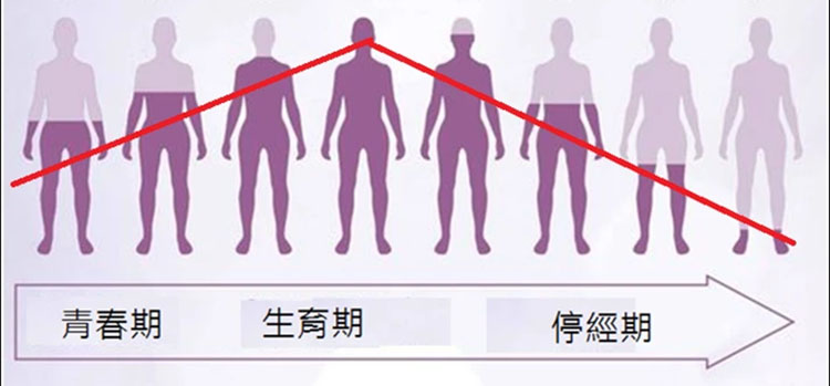 荷爾蒙變化