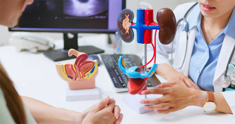 泌尿科（Urology）